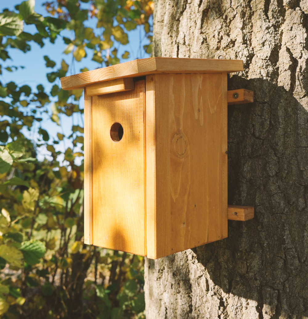 Likör-Vogelhaus Maracuja-Vanille